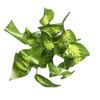 7 garfo pequeno punho tartaruga volta branco verde rabanete simulação planta verde vasos folhas decoração casa decoração verde planta parede acessórios
