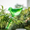 Dispositivo de riego perezoso para pájaros transparente, filtración por gravedad, riego automático, riego creativo de plantas, suministros de jardinería