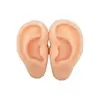 Modelo de Exhibición de Auriculares de Oreja de Silicona Joyería de Pendientes de Oreja Práctica de Limpieza de Orejas Prop de Enseñanza de Simulación del Cuerpo Humano
