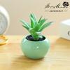 Flor Falsa Mini Suculenta Bonsai Moda Criativa Pequenos Ornamentos Jinhua Fábrica de Flores Artificiais Fornecimento Direto Planta Vaso