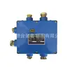 Caja de Empalme de Cable Óptico Antiexplosiva para Minería, Fácil de Transportar, Larga Vida Útil, Caja de Empalme de Cable Óptico Antiexplosiva Fhg4