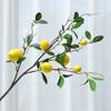 Simulação Fruta Limão Fruta Ramo de Laranja Decoração de Casa Espuma Frutas Jardim Paisagismo Decoração Ornamentos