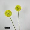Fábrica atacado simulação flor cebola única cebola dente-de-leão decoração de casa hotel flor falsa casamento arranjo de flores cebola verde