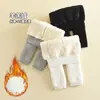 Leggings para Niñas Otoño e Invierno Cálidos Engrosados Ropa Exterior Elegante Calcetines para Bebés y Niños Pequeños Pantimedias Infantiles de Lana de Cordero