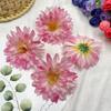 Arreglo Floral de Flor Artificial de 8 cm, Aguja de Pino, Crisantemo Dorado, Flor para Peine, Guirnalda de Flores, Material para Tocados, Flor para Ropa, Sombrero