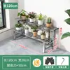 Suporte de Flores de Aço Inoxidável Suporte de Armazenamento para Suculentas Escada de Chão Multi-Camada Sala de Estar Suporte de Exibição de Plantas Verdes Suporte de Vasos de Flores para Exterior