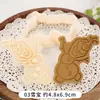 Desenho Animado da Princesa Xuebao Molde de Biscoito Ferramenta Doméstica DIY para Assar Fondant 3D Tridimensional Tipo Prensa