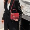 Bolso de Mano Texeled Elegante Estilo Coreano Bolso Simple Nuevo 2025 Bandolera Elegante de Moda para el Hombro Texeled Bolso Cuadrado Pequeño