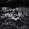 Anillo Multifuncional de Titanio F136 con Circonita de Cinco Hojas Anillo Cerrado Aro para Nariz Joyería para Perforación Corporal Hueso de la Oreja Aleación de Titanio G23