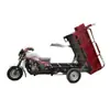 Asiento de Combustible Vehículo Motocicleta Tipo Gasolina Tres Ruedas Carga Equipo Uso Agrícola Clase Grano Transporte Carro