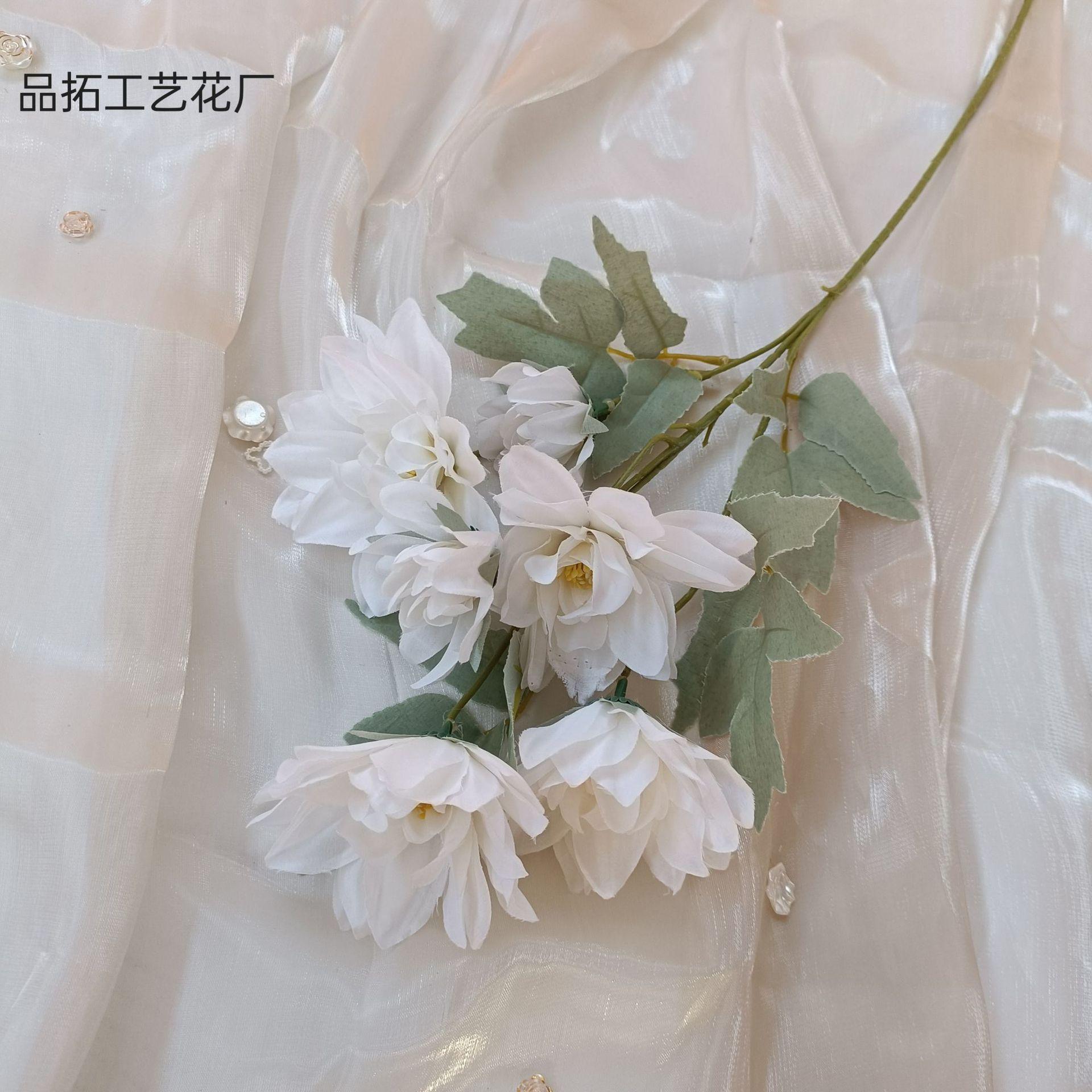 b908e727e715d4ae581f10bc83071b