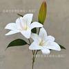 Flor Artificial Casamento Impressa em 3D Toque Filme Flor de Lírio Material Decoração de Casa Exibição Interna Flor Falsa Flor de Lírio