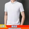 Camisa Polo de Verano para Hombre, Transpirable Versátil de Negocios, Delgada Ajustada a la Medida, Moda de Gama Alta Casual, Top con Cuello