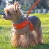 Coleira para animal de estimação nova transfronteiriça alça para cachorro pequeno corda de cachorro alça peitoral atacado Corda de passeio respirável corda de cachorro
