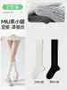 Calcetines Grises a la Mitad de la Pantorrilla para Mujer, Estilo Delgado de Verano, Calcetines Largos de Tubo, Nuevo Modelo Popular 2026, Calcetines de Ballet Estilo Miu, Efecto Adelgazante