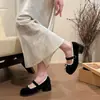 Zapatos retro de tacón grueso estilo francés con lazo, nuevo modelo de primavera 2026, versátiles con faldas, zapatos de piel Mary Jane bajos