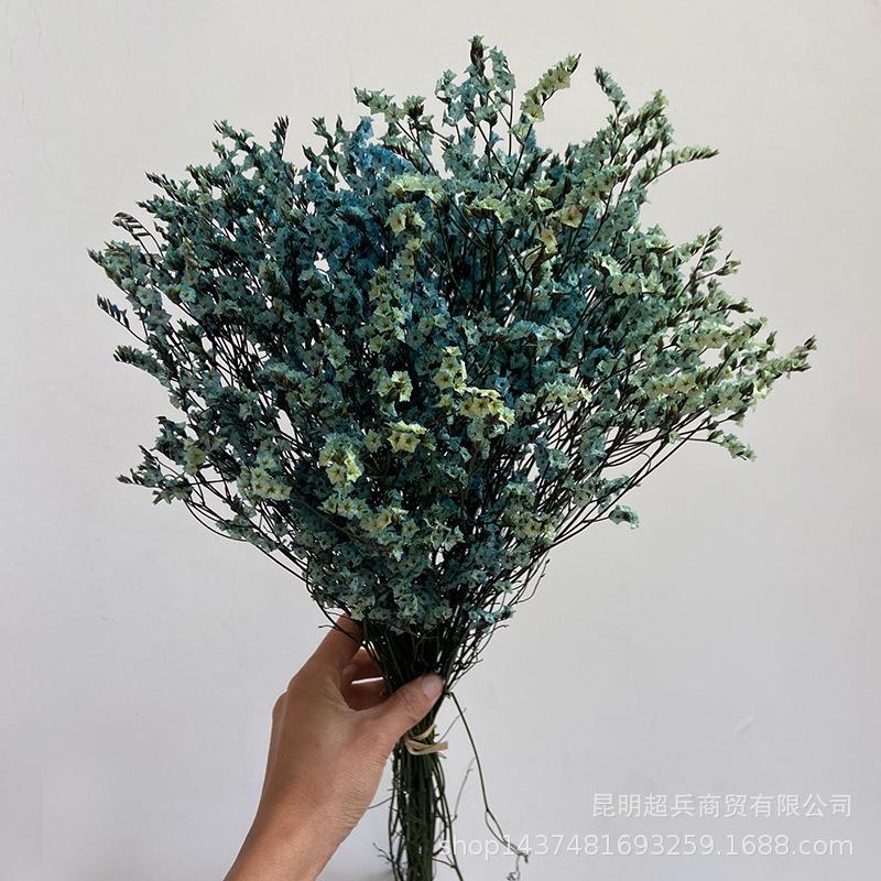 QQ图片20210804154131.jpg