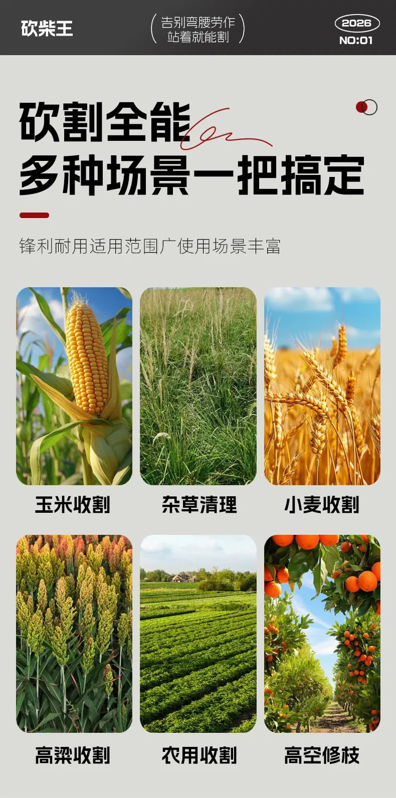 详情_10.jpg