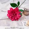 Flor Artificial Dália Solteira Casamento Decoração de Casa Adereços para Fotografia Dália Exibição para Exportação Lindo Crisântemo Oriental