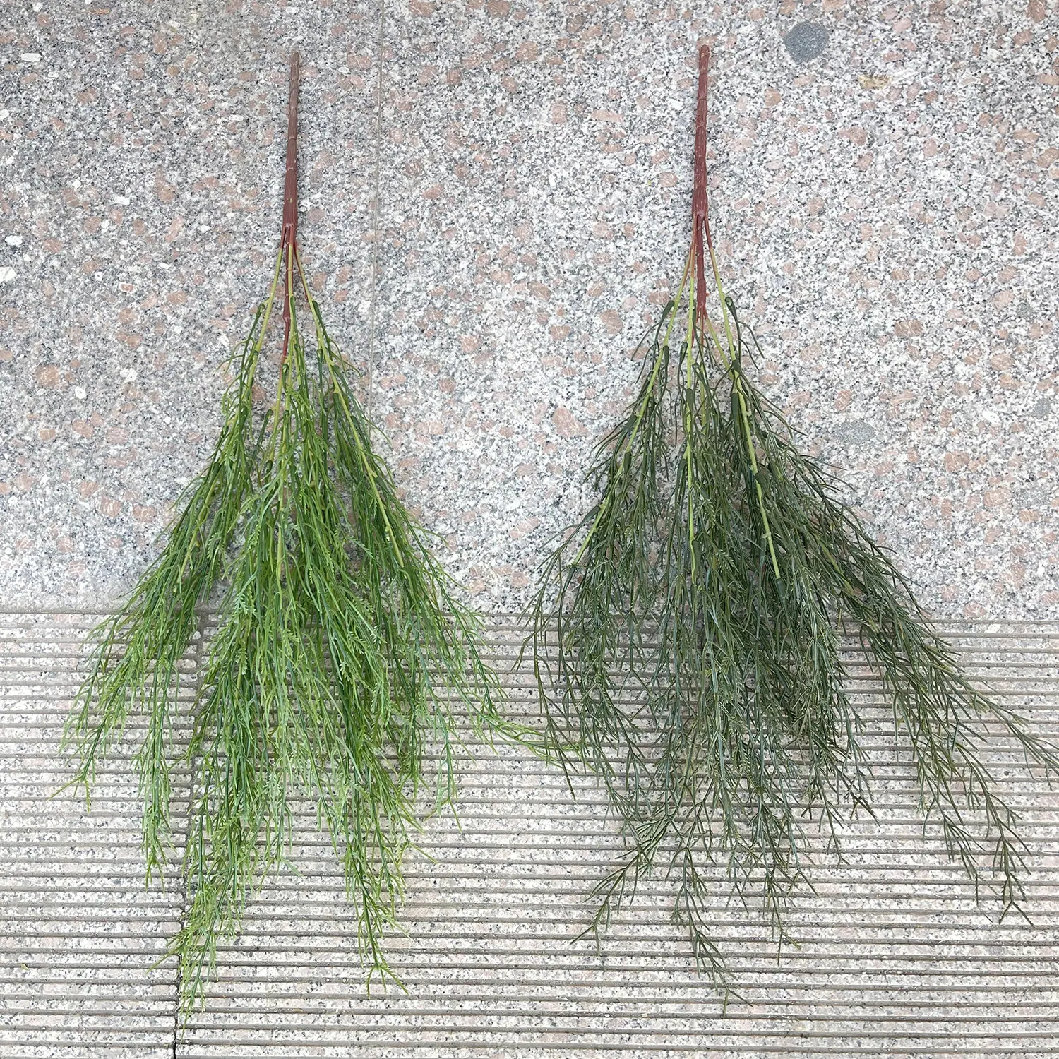 13 5叉把束芦荀草(H66cm) 色卡 3元.JPG