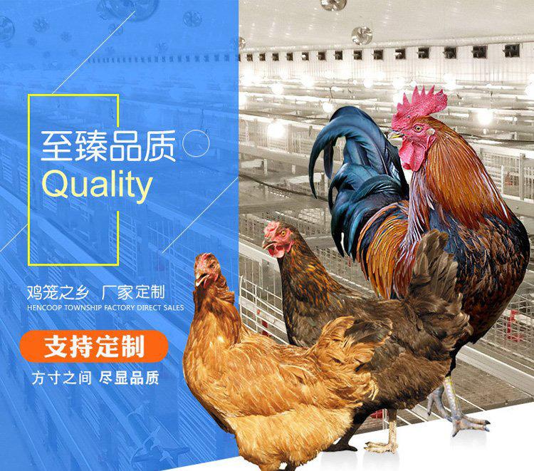 u=2816657371,1956130068&fm