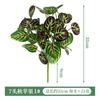 Hojas de Planta Verde Simulada 7 Cabezas Rábano Verde Cosmos Ramo de Hojas Planta Pared de Flores Accesorios de Arreglo Decoración de Boda Flores Falsas