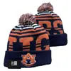 2026 Nuevo Gorro de Lana Tejido para Deportes Universitarios de la NCAA Transfronterizos Gorro de Punto Cálido para Exteriores que Protege los Oídos