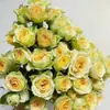 Los Rosales Viejos Florecen el Mismo Año, Produciendo Flores Grandes y Fragantes; Plantas de Rosa de Raíz Vieja, Plantas Verdes, Plantas en Maceta, Mayoreo, Variedades de Rosa