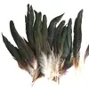 80 Tipos de Penas Naturais de Faisão, Penas Reais, Decorações Nativas Americanas, Acessórios DIY, Acessórios de Cabelo, Peças para Brinquedo de Vara para Gato