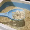 Estoque de fábrica novo pá de lixo de gato oca pá de excremento conveniente pegar pá de excremento de gato pá de areia vazada pá de tofu