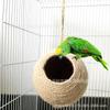 Nido de Pájaro Nido de Pájaro Loro Cuerda de Cáñamo Tejido Nido Hámster Ardilla Nido de Cría Loro Nido de Cáscara de Coco Nido de Pájaro Tejido a Mano