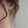 Aretes de Plata Esterlina para Mujer Verano 2021 Nuevos Aretes de Moda Aretes Diseño Sentido Nicho Aretes Plata Personalizado