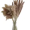 Buquê de Limpeza com Flores Secas e Juncos Flores Reais Secas Decoração de Casa Pousada Pequeno Escandinavo Transfronteiriço Buquê Seco