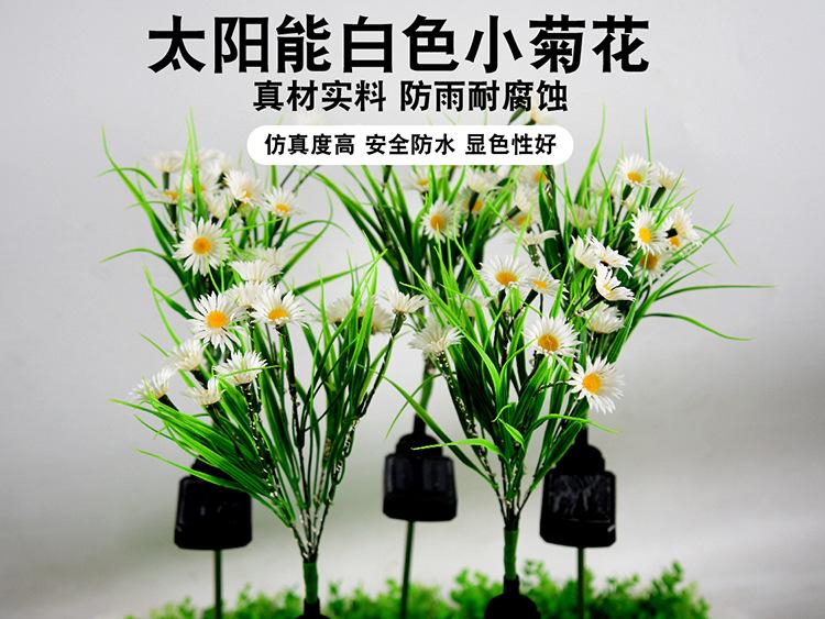 详情页_1