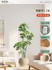Plantas Verdes Artificiais de Alta Qualidade para Decoração de Sala de Estar, Planta Realista Falsa de Figueira-da-Índia Preta para Decoração de Sala de Transmissão ao Vivo