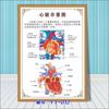 Diagrama esquemático del sistema anatómico visceral humano. Póster médico de pared con diagrama de la estructura del corazón y los órganos humanos.