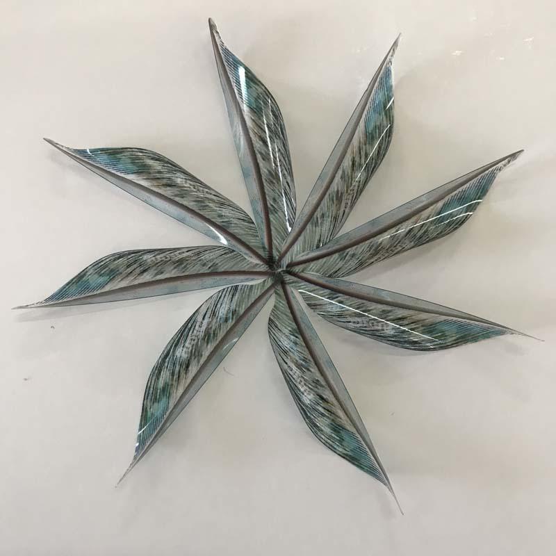 透明花色