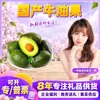 Aguacate Hass Yunnan Nacional Seleccionado Cuidadosamente Dropshipping 6 Frutas Pequeñas 100-130g Aguacate Fresco