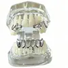 Set de Brazaletes de Diente Único Hip-Hop Europeo y Americano, Varios Diseños de Letras y Florales, Brazaletes Dorados Incrustados con Diamantes, Brazaletes Hip-Hop Transfronterizos