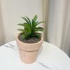 Simulación de plantas carnosas decorativas para el hogar, arreglos de mesa, pequeños adornos, plantas carnosas en maceta, suministro transfronterizo, flores de simulación