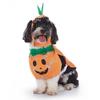 Ropa Navideña para Perros Disfrazada Transfronteriza, Ropa Divertida para Perros de Pie, Ropa para Mascotas de Otoño e Invierno de Halloween