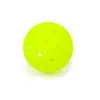 Raquete de Pickleball Seamless 74mm Moldada Rotativamente Pe de Peça Única com 40 Furos e Alta Elasticidade