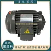Grupo S.Y Motor Hidráulico C02-43B0 2Hp-4 Tk3 1.5Kw Agujero de Eje Interno Horizontal Motor de Bomba de Aceite
