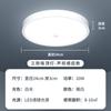 Luz Sensor Que Se Enciende Cuando Alguien Viene y Se Apaga Cuando Alguien Se Va, Luz de Techo con Sensor de Movimiento Corporal Humano por Radar Activado por Voz para Pasillo