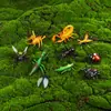 Juguete de insectos para niños transfronterizo modelo de animal saltamontes mariposa mariquita de siete puntos escorpión araña hormiga ciempiés adornos
