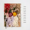 Bolsa de Materiales DIY Flor Seca Inmortal Tuanjian Marco de Fotos Pintura Tarjeta de Felicitación Tuanfan Ramo Pequeño Hecho a Mano Flor Real Bolsa de Flores en Relieve