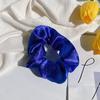 Accesorios para el Cabello Azul Klein Diadema Popular en Internet 2021 Nueva Moda Otoño e Invierno Sentido de Alta Gama Pinza para el Cabello Súper Blanca Pinza para el Cabello de Niña