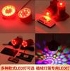 Lanterna de Ano Novo Especial Colorida Giratória Vermelha Solar Controle Remoto Lâmpada LED Festival da Primavera Lanterna de Veludo Companhia Especial