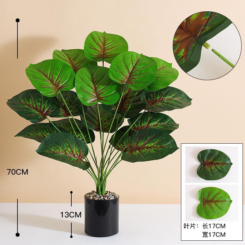 7bb0d59d-b178-481f-948c-99803292ce44.jpe