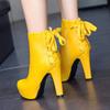 40-43 Talla Grande Botas de Caballero Estilo Europeo y Americano Otoño e Invierno Punta Redonda Tacón Grueso Plataforma Impermeable Con Cordones Botas para Mujer L18